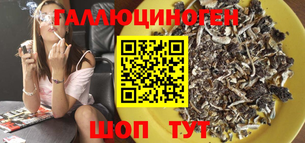 Галлюциногенные грибы прущие грибы  где продают наркотики  Вход с VPN  Наро-Фоминск  Псилоцибиновые грибы GOLDEN TEACHER 